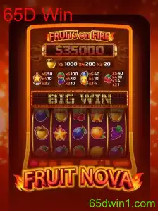 Explorando o Fascinante Mundo de FruitNova e a Estratégia 65D Win